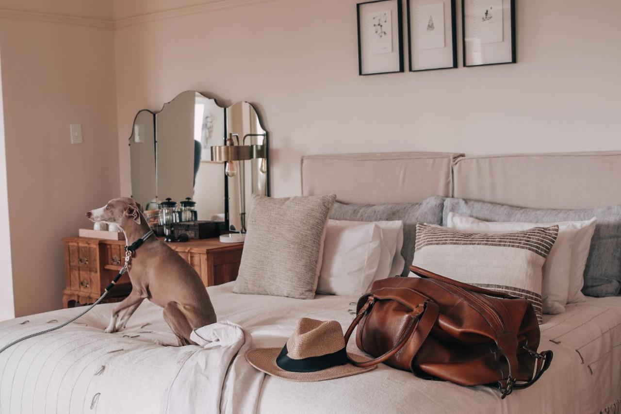 Sonnekus Boutique Hotel & Bistro Kalk Bay Zewnętrze zdjęcie